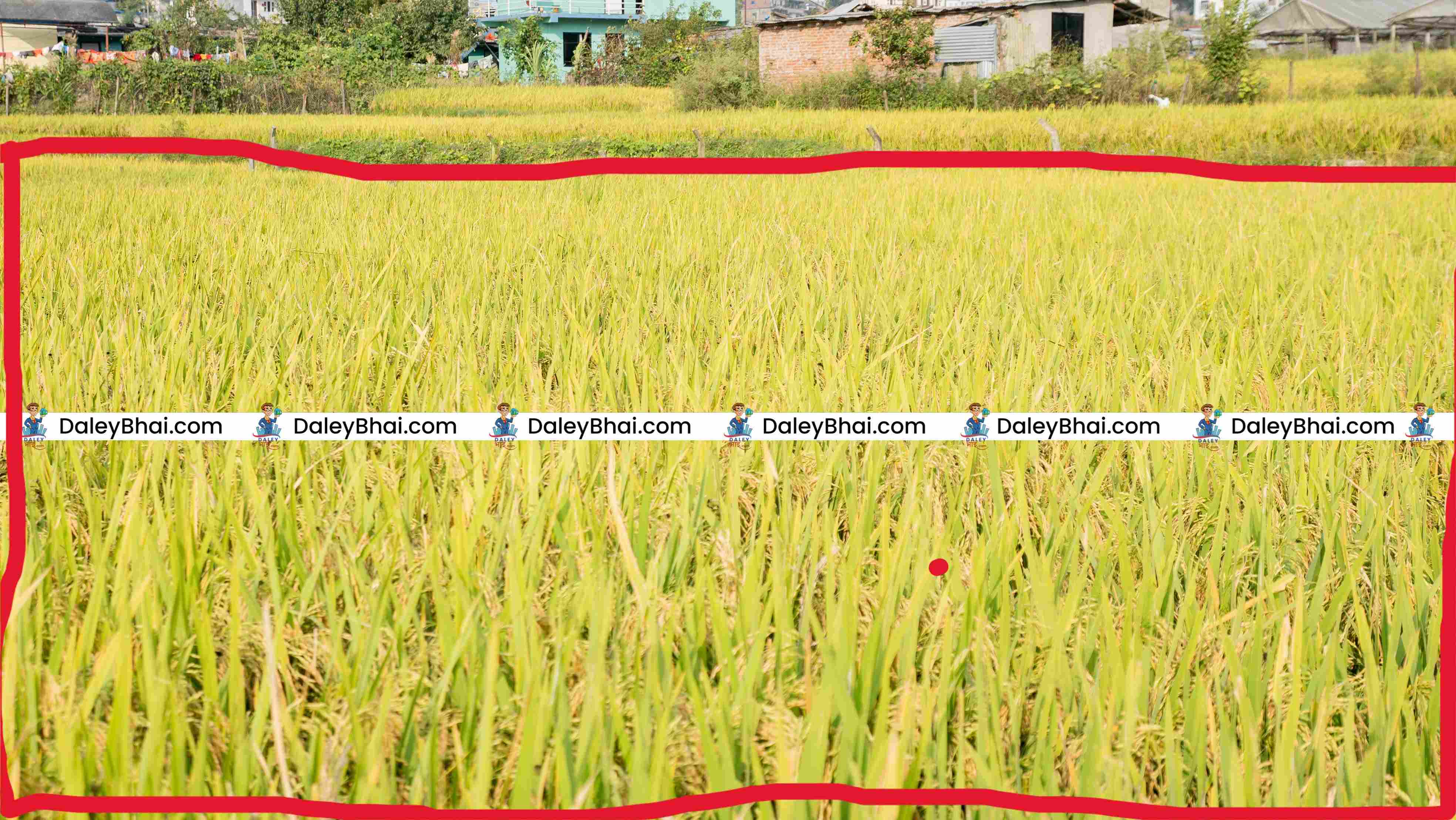 land at tokha