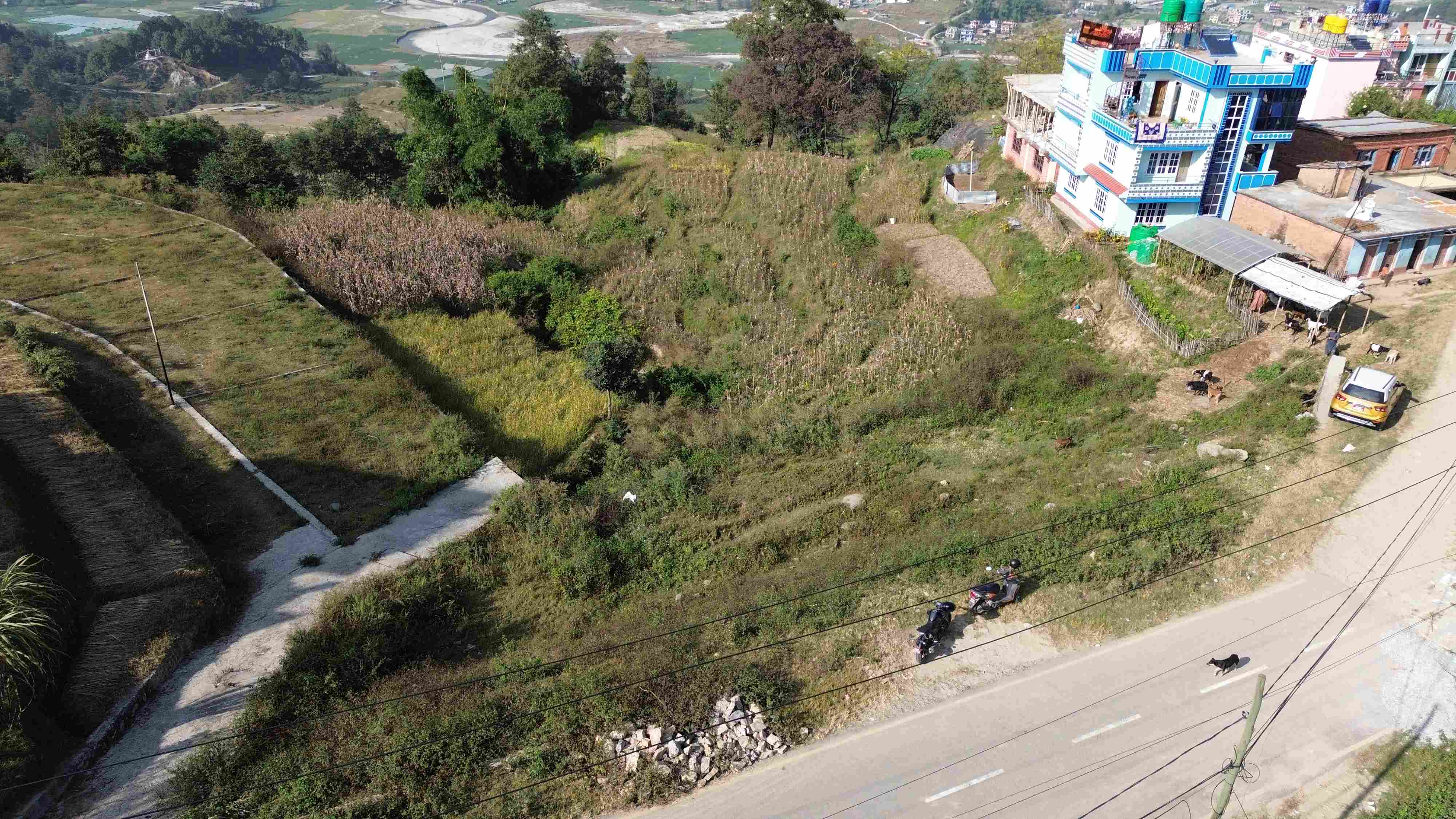Land