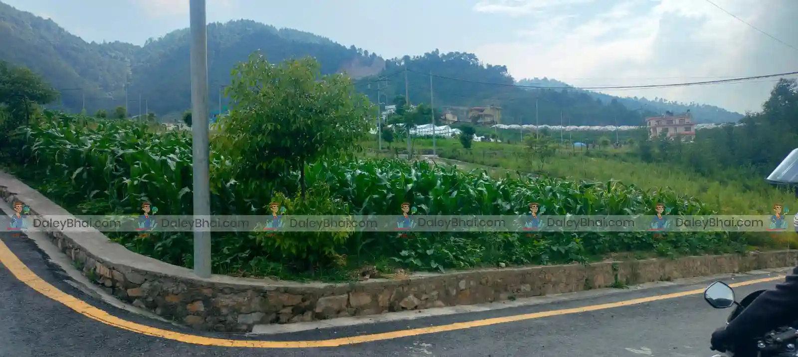 Land for sale in Suryabinayak-9, PalanSe | Daleybhai