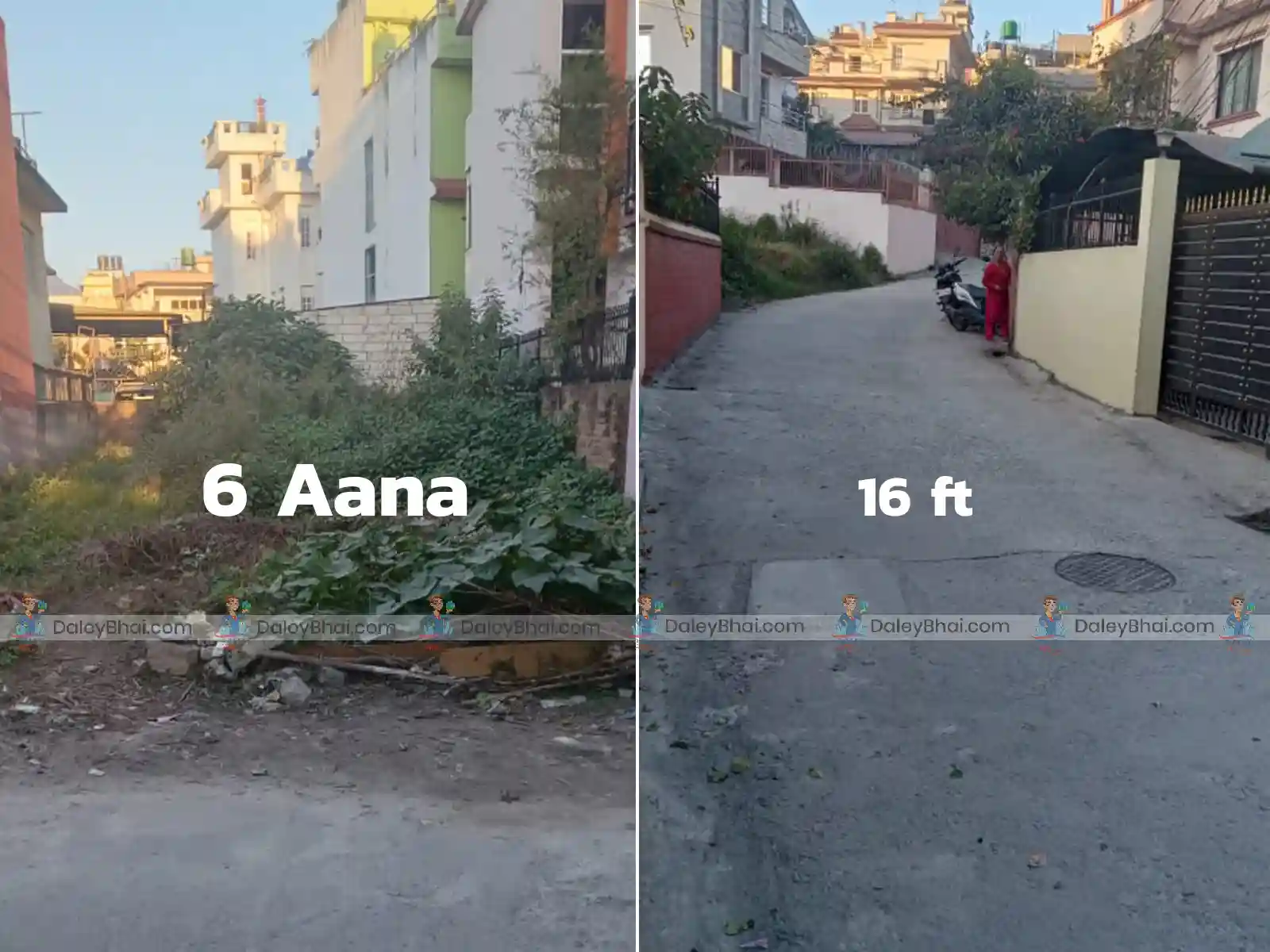 Land