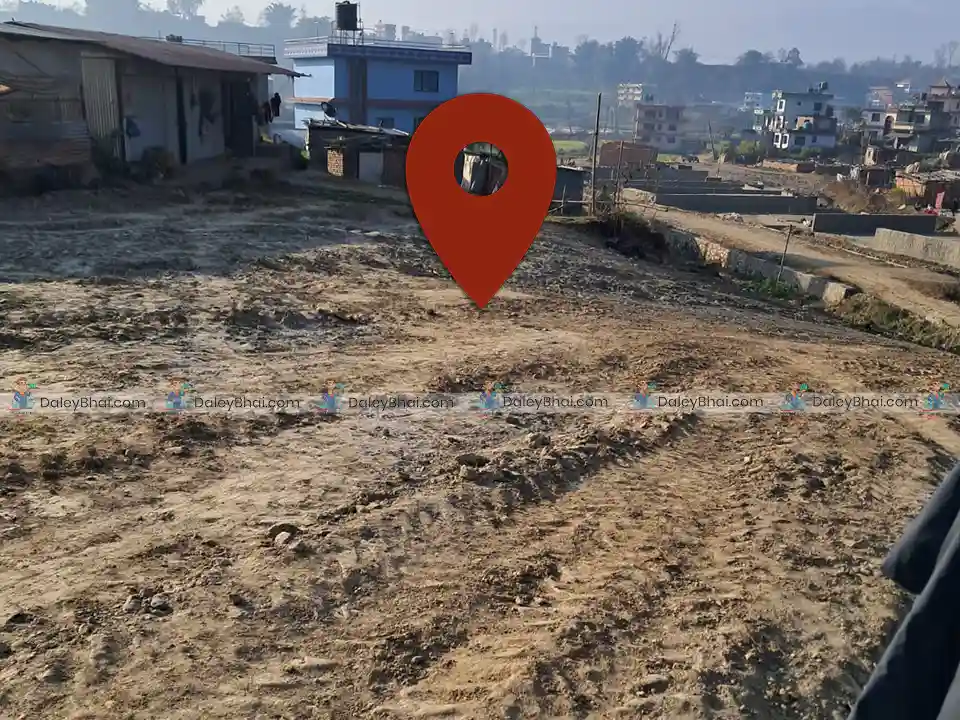 Land