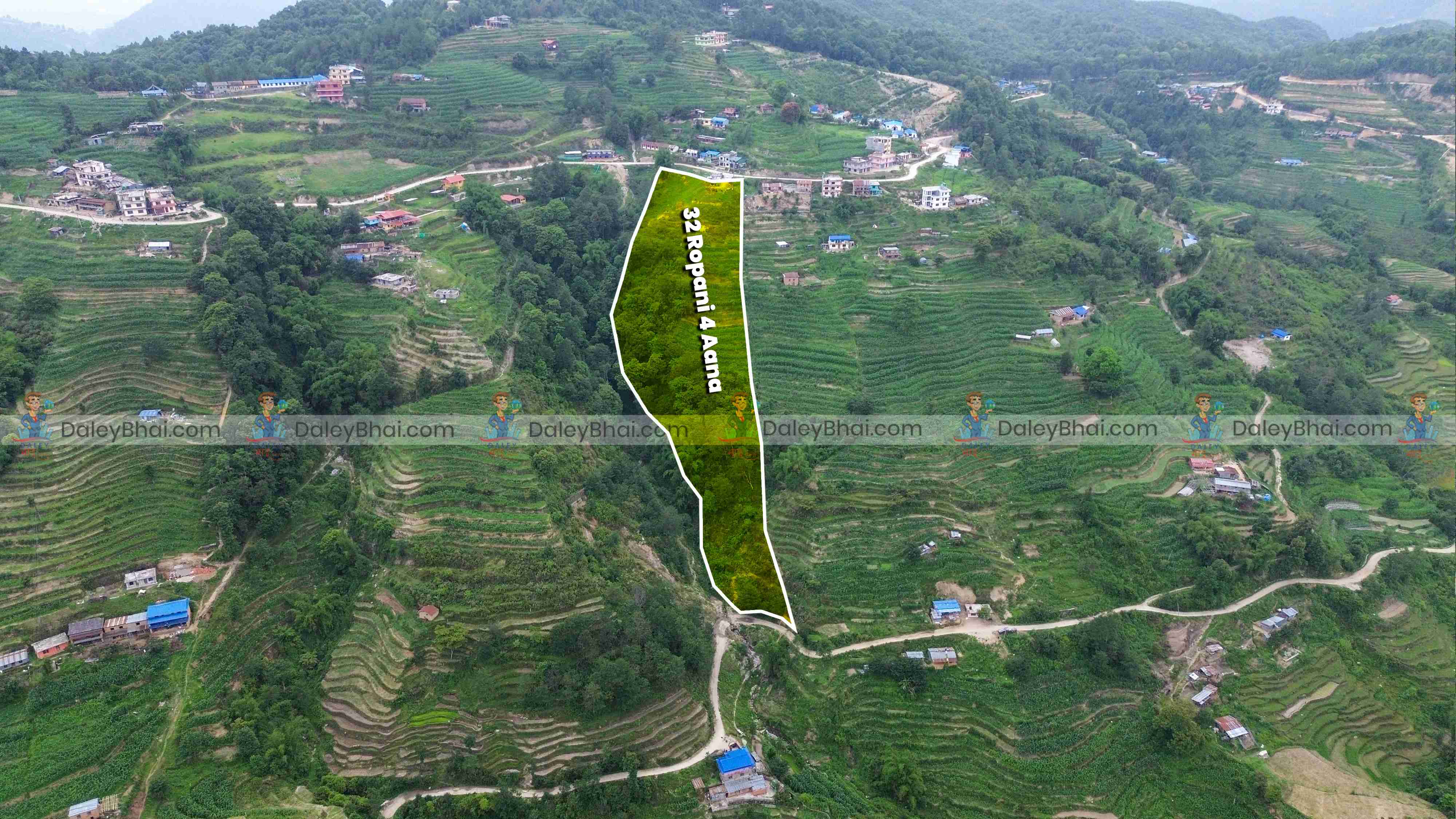 Land