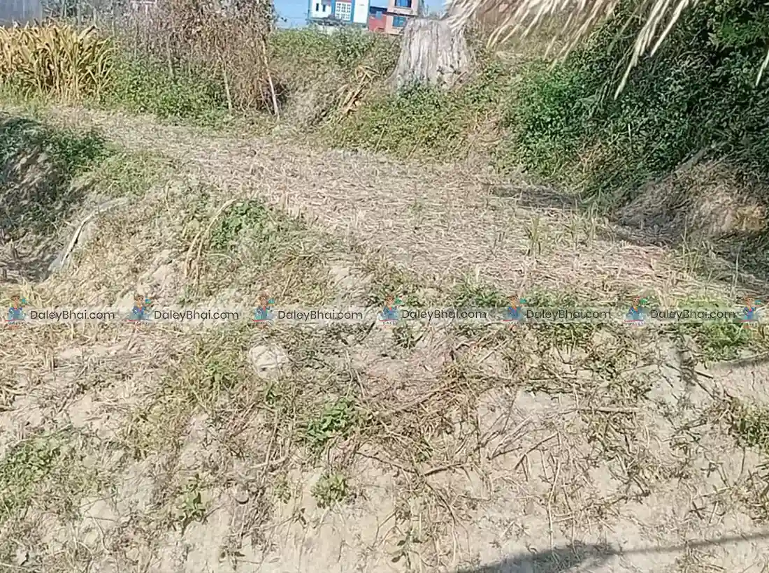 Land