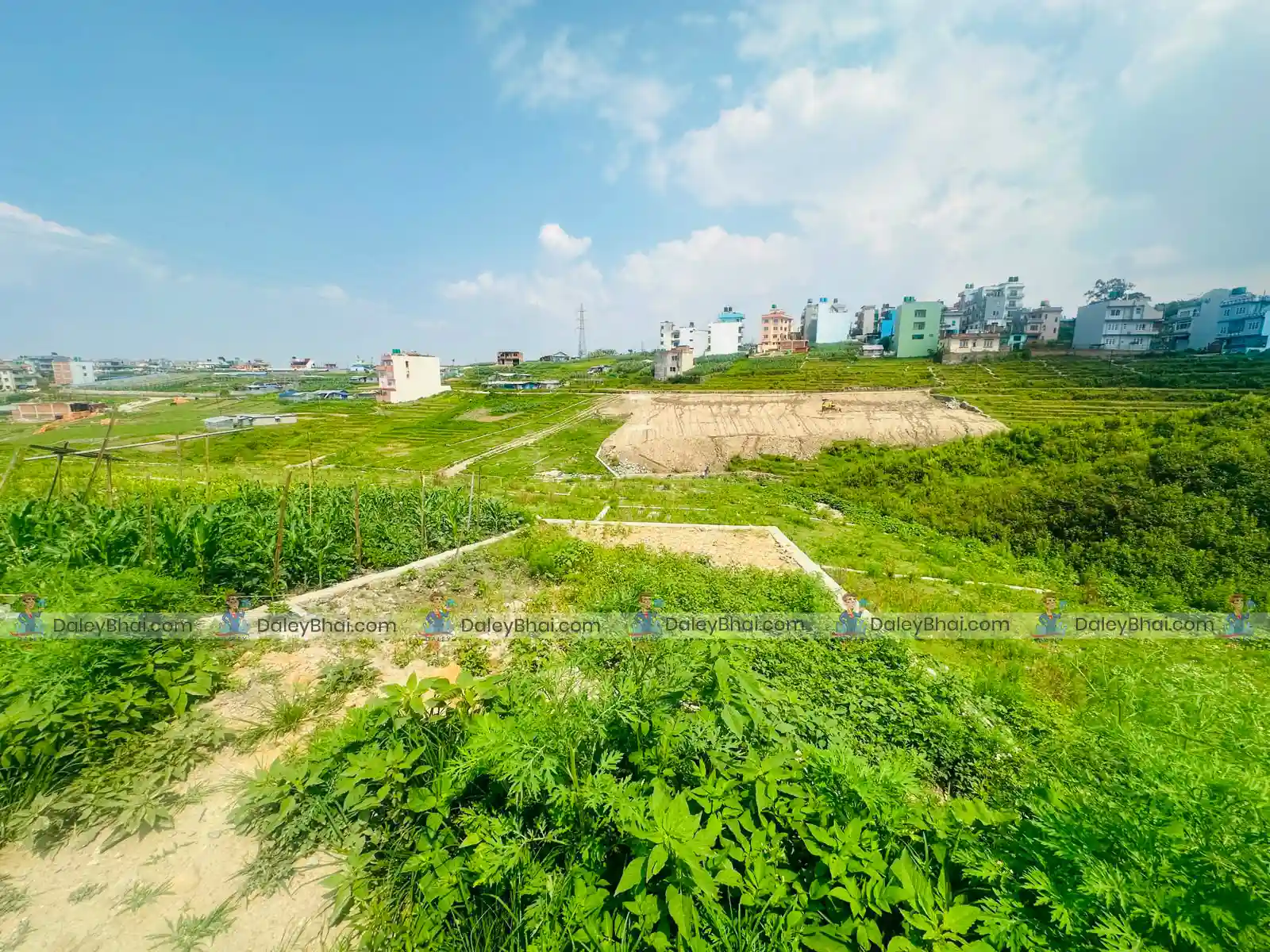 Land for sale in Jhulpokhari, Kirtipur | Daleybhai