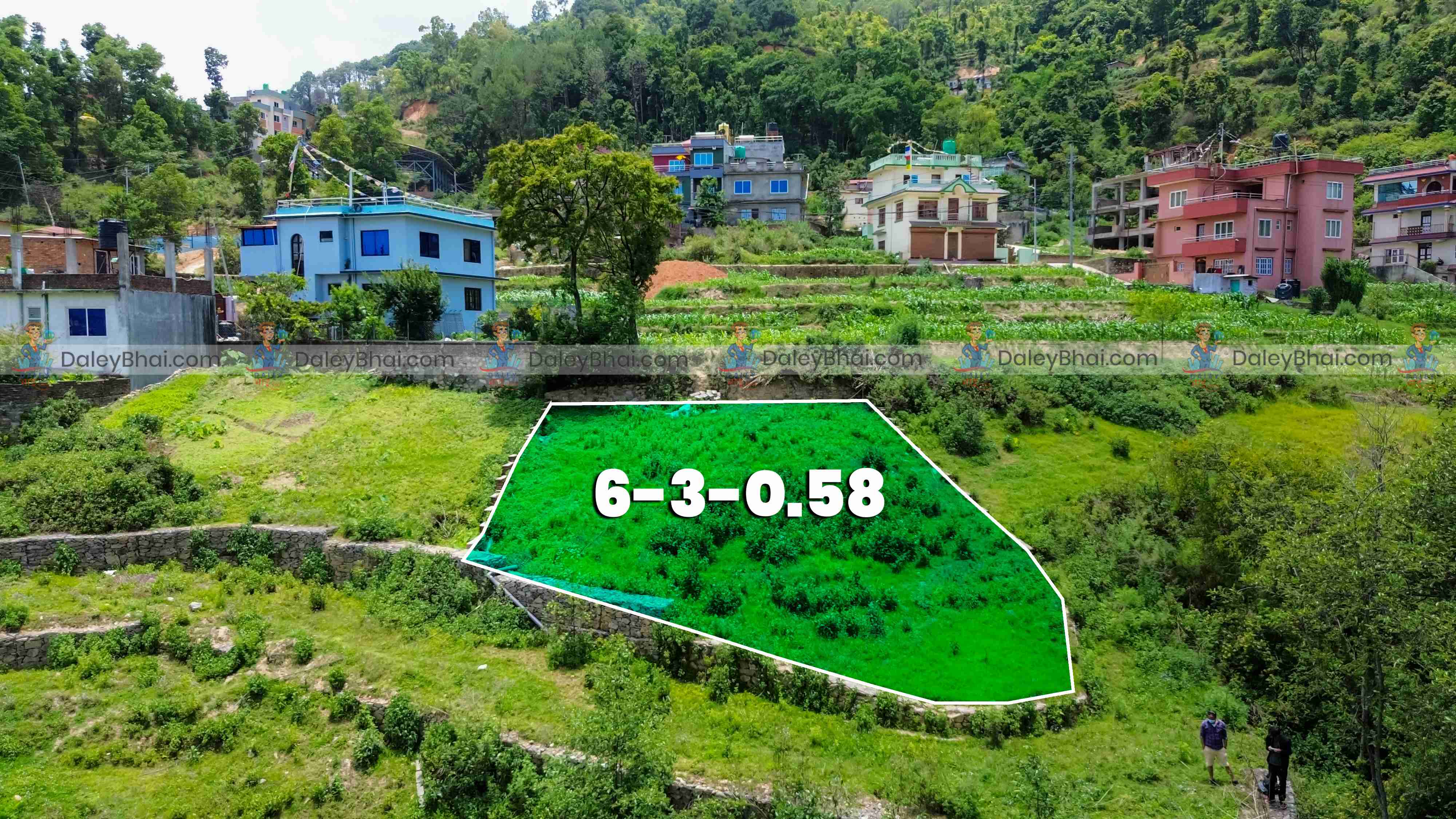 Land