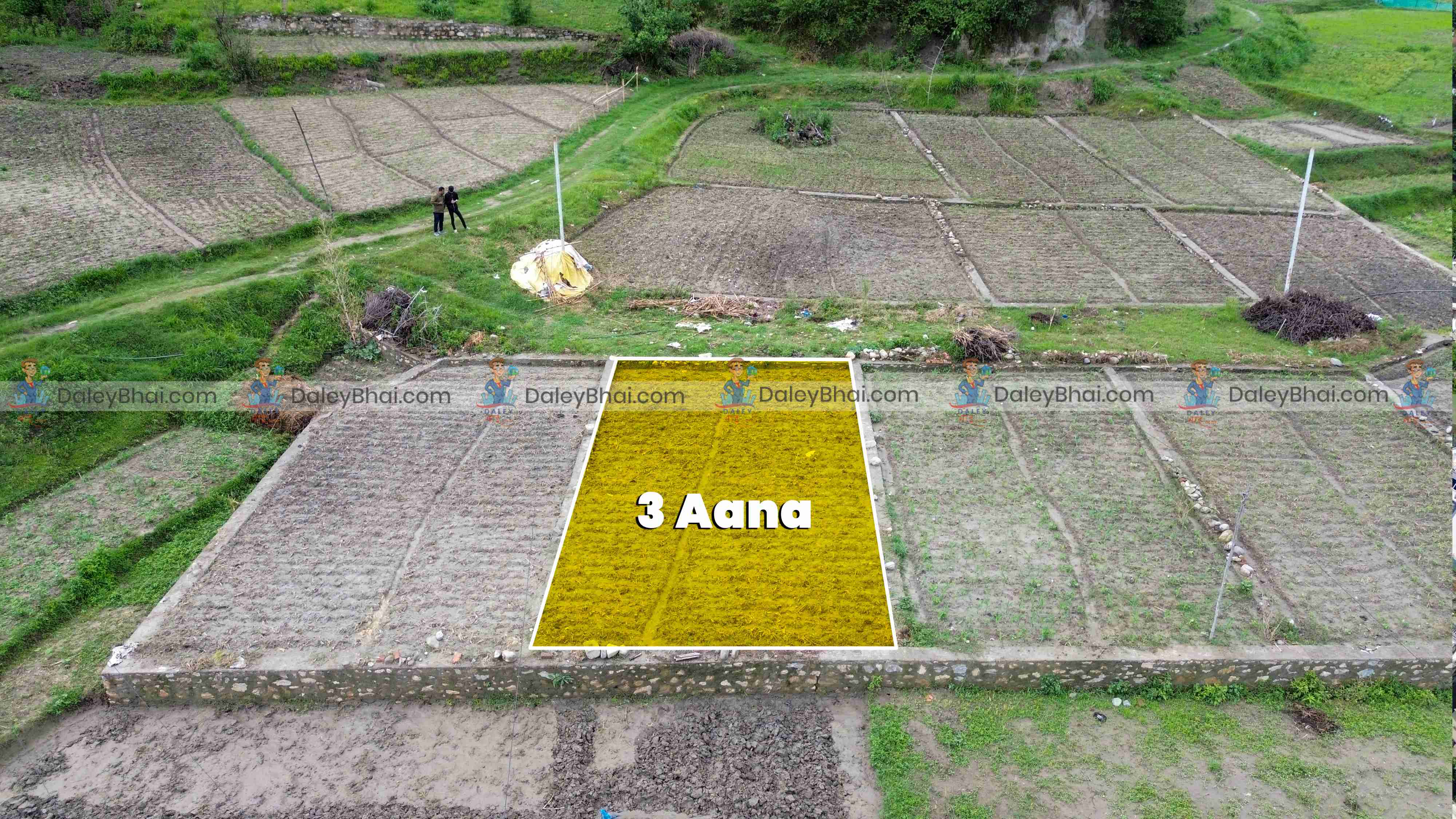 Land