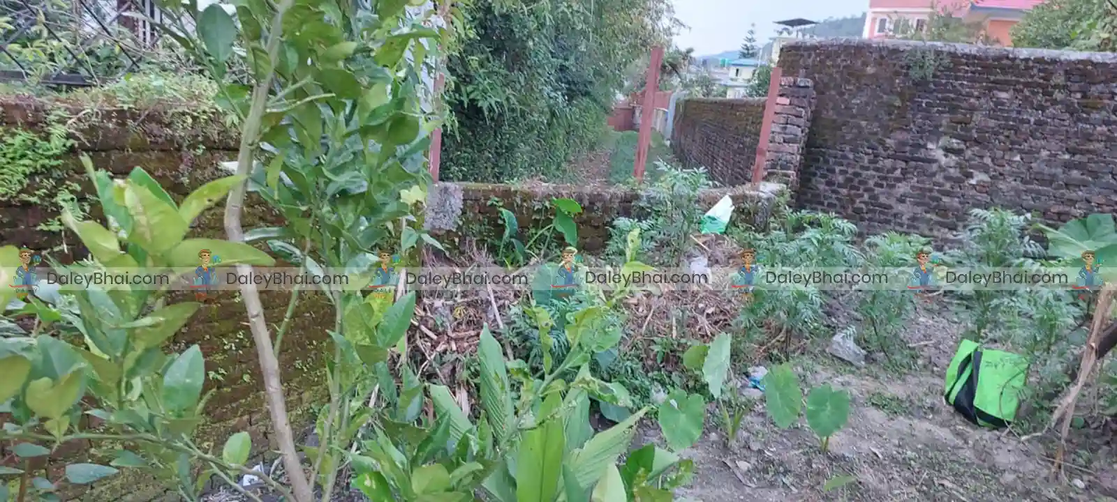 Land