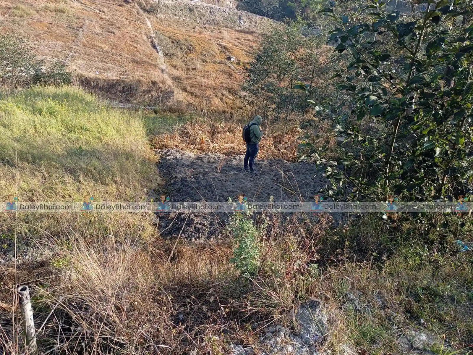 Land