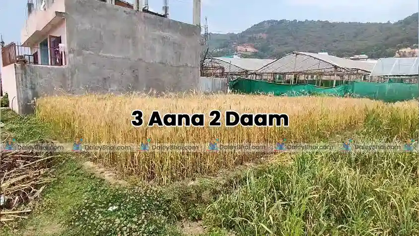 Land
