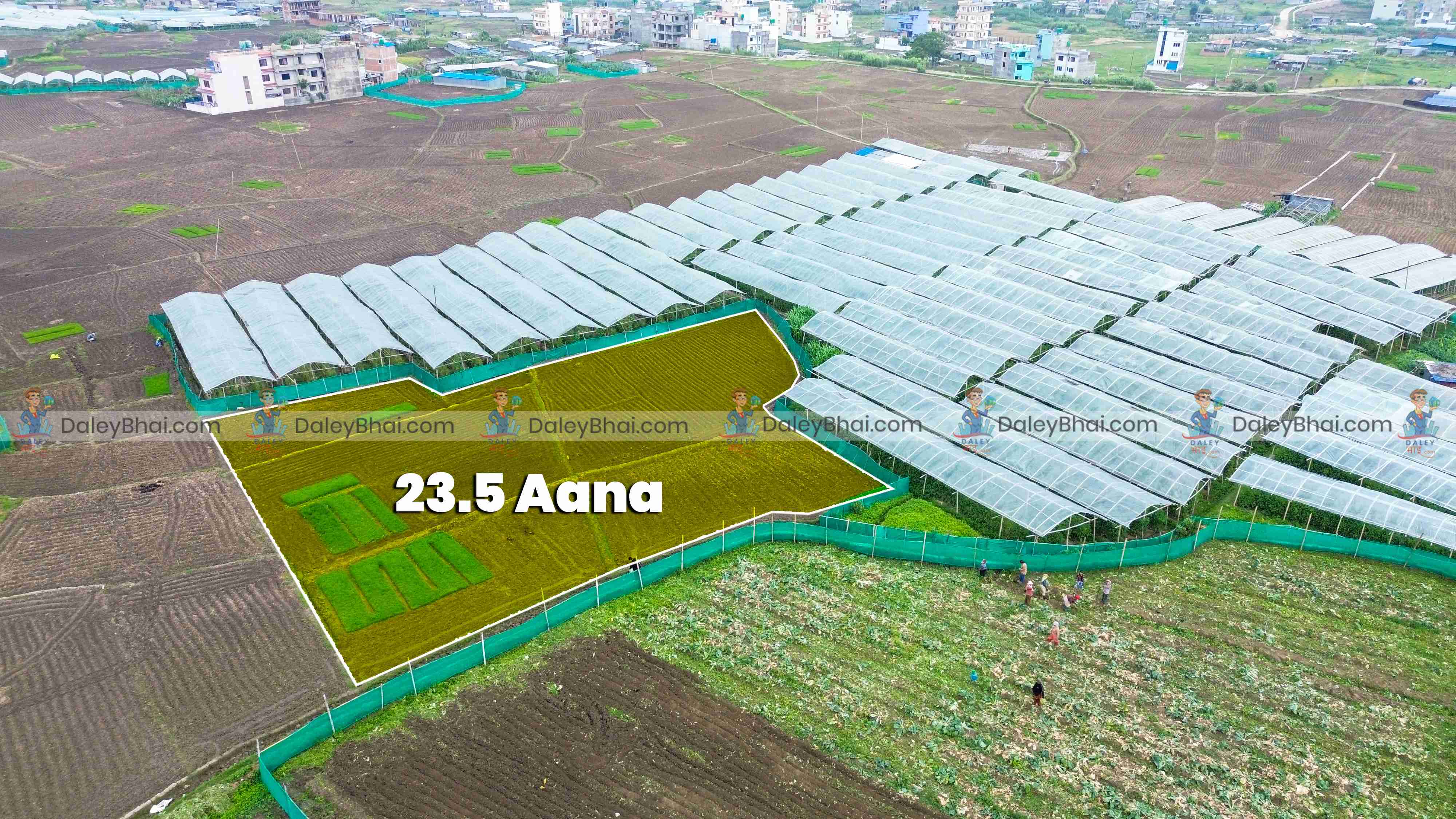Land