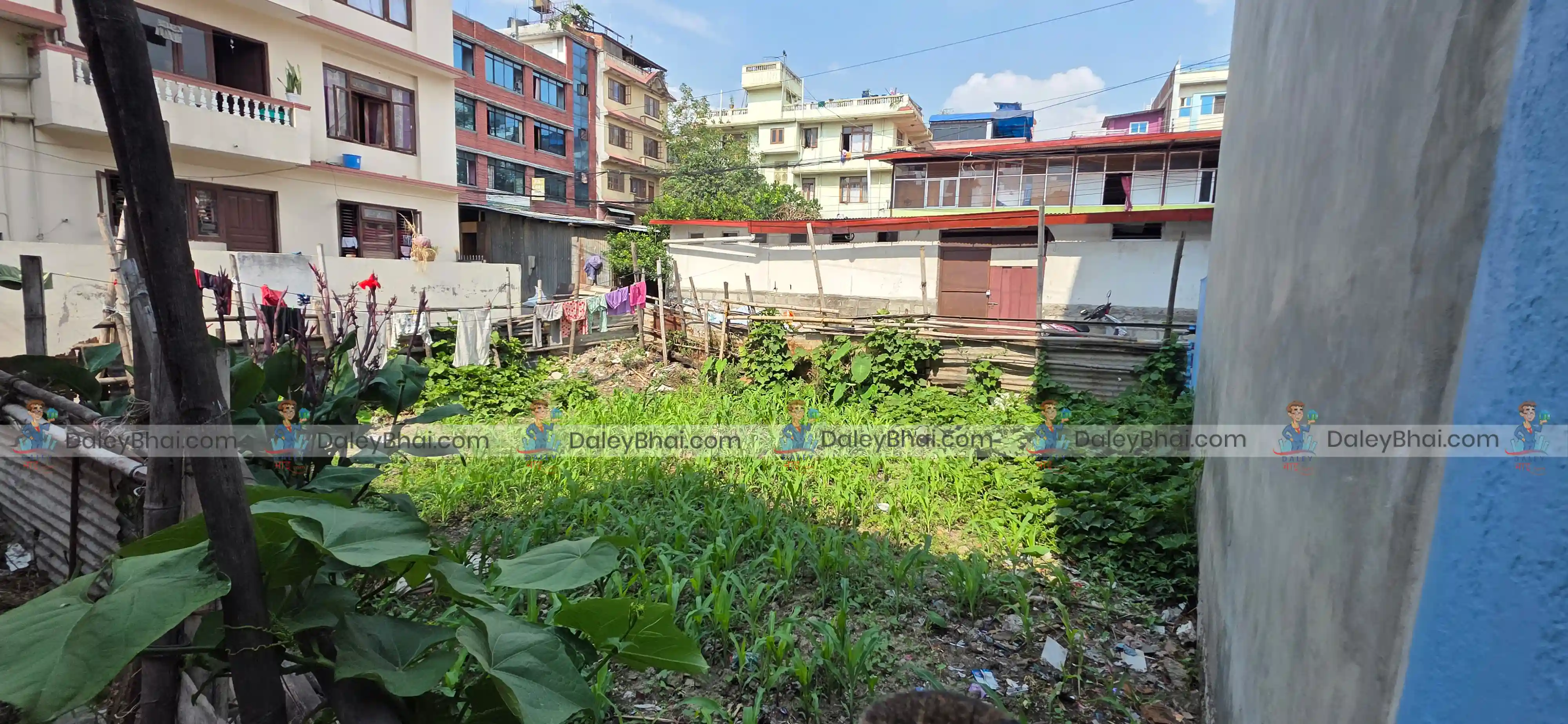 Land for slae in Koteshwor Mahadevsthan | Daleybhai