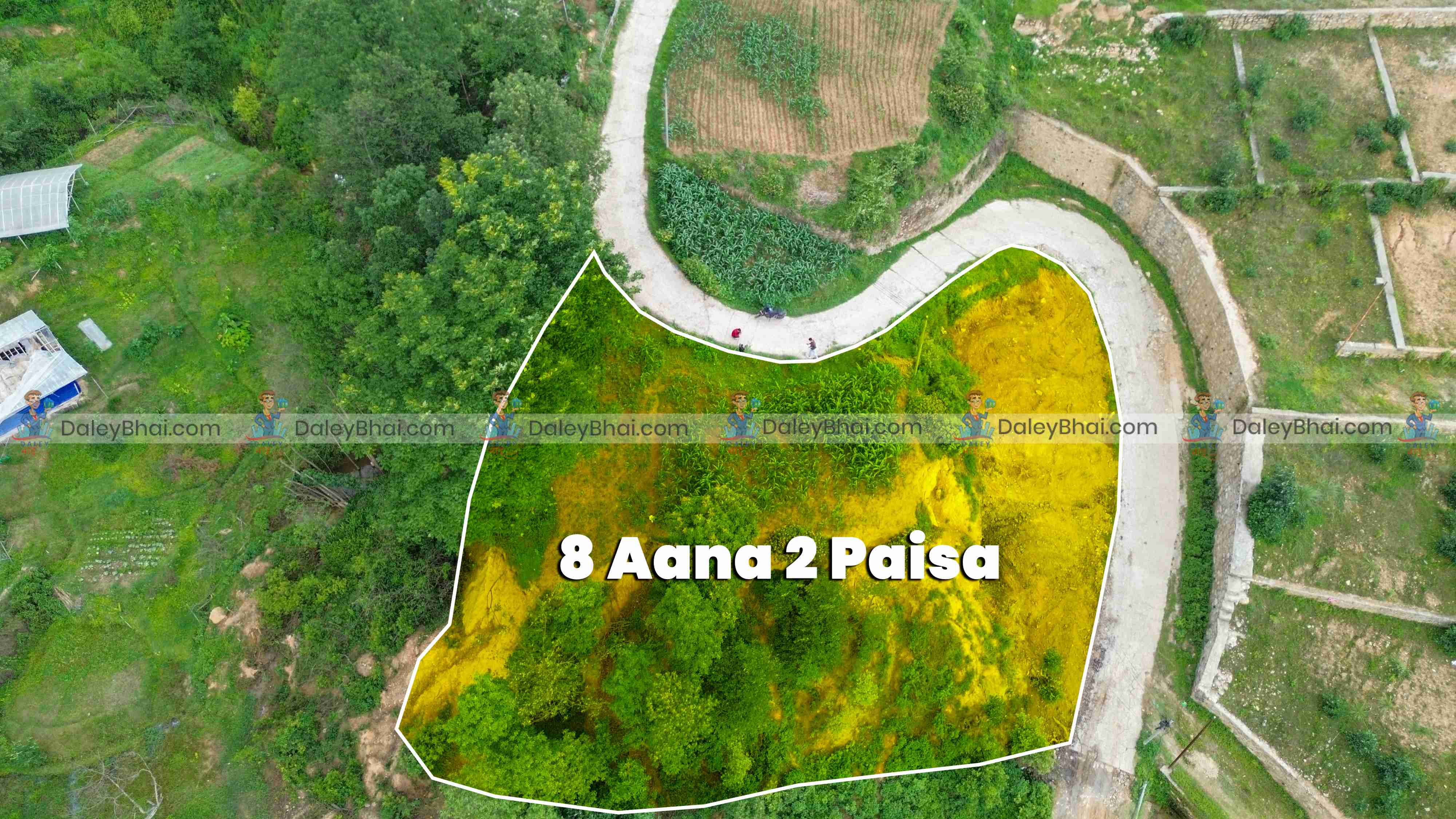 Land