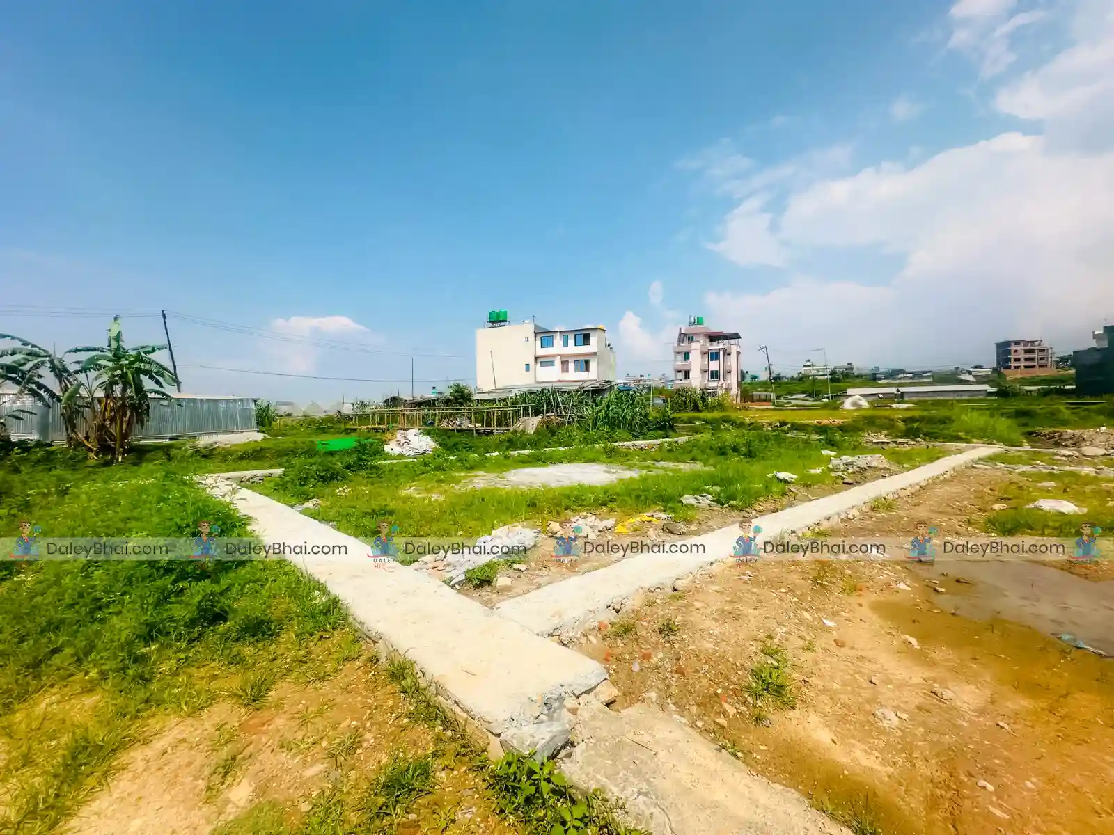 Land for sale in Jhulpokhari, Kirtipur | Daleybhai