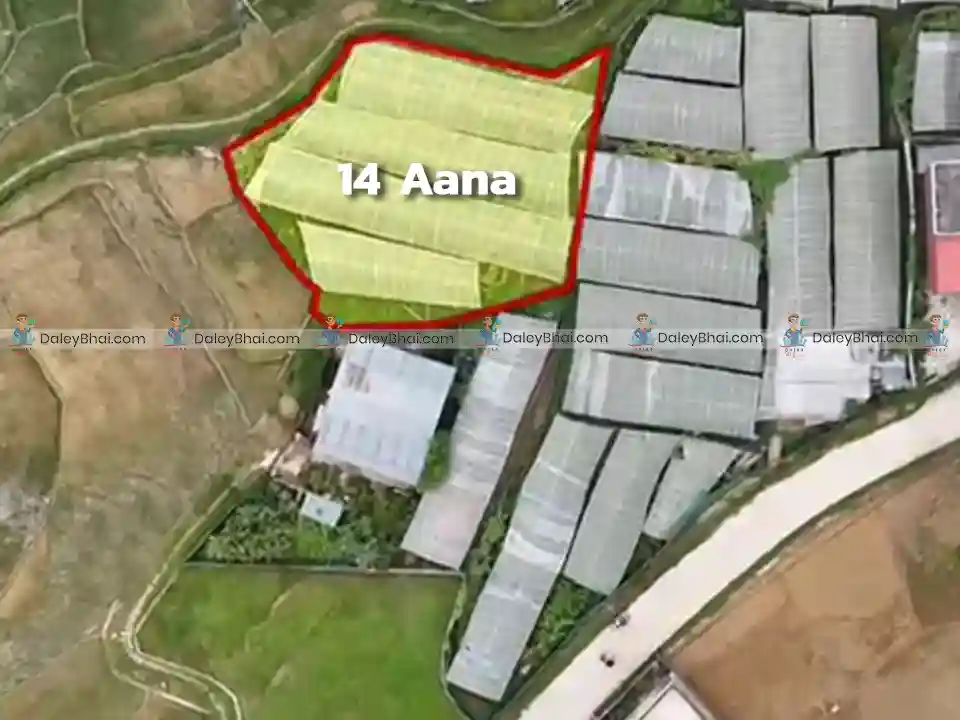 Land