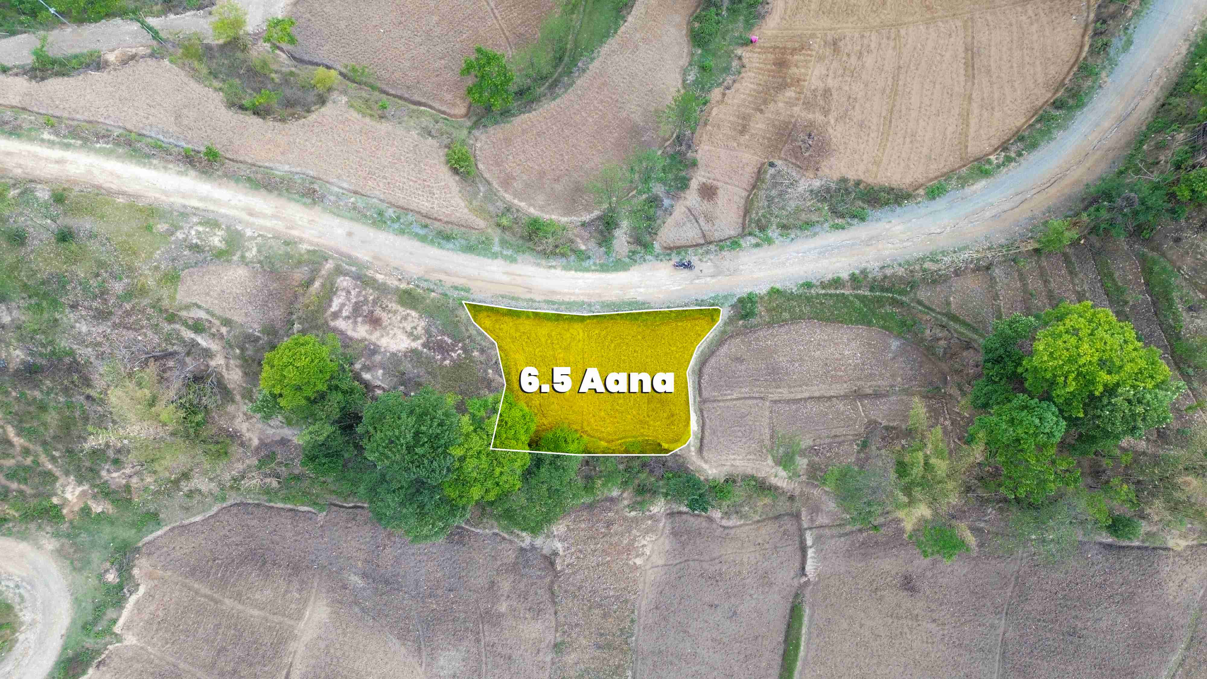Land