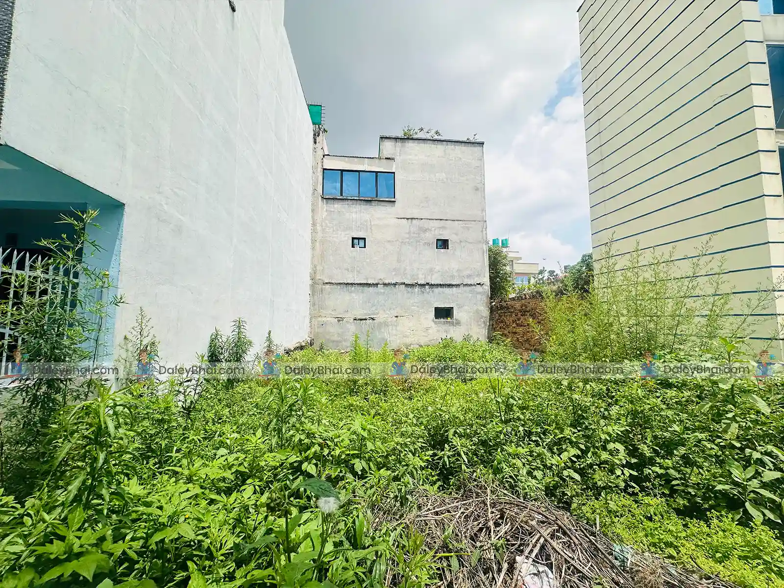 Land for sale in Tokha, Dhapasi Height | Daleybhai