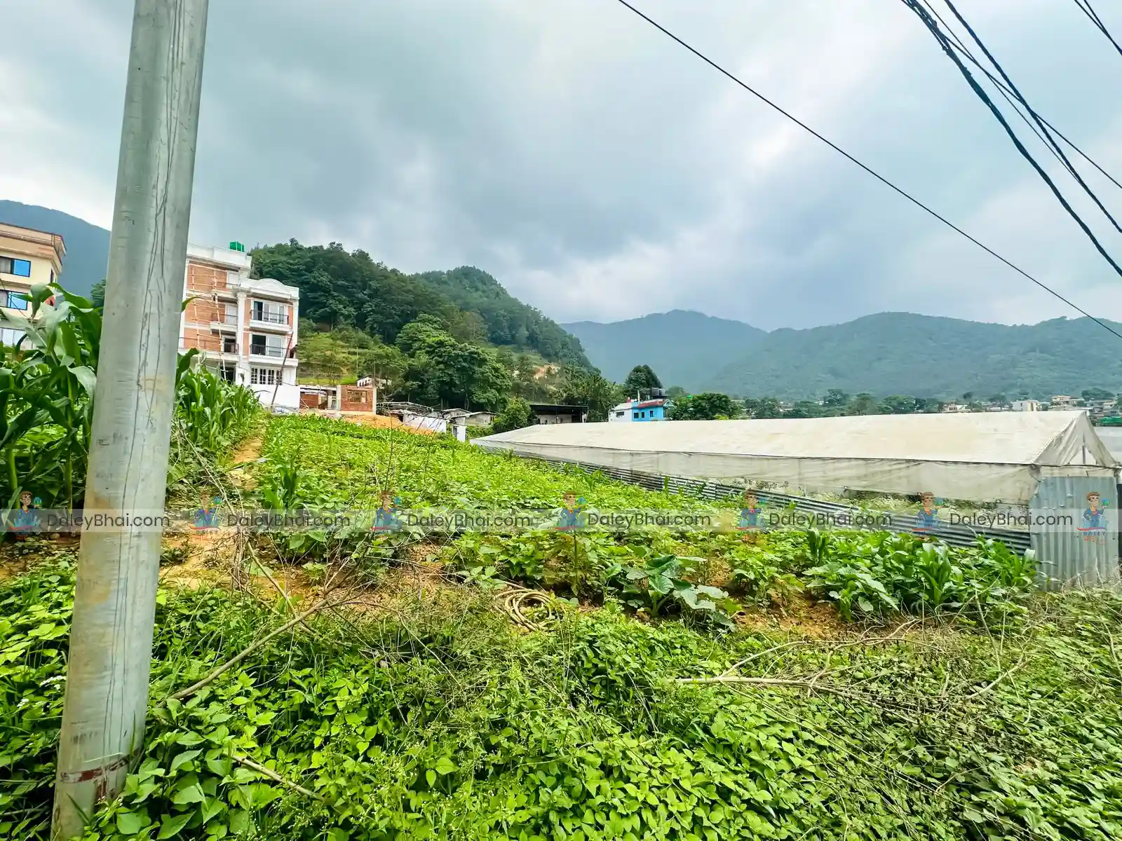 Land for sale in Matatirtha, Chandragiri | Daleybhai