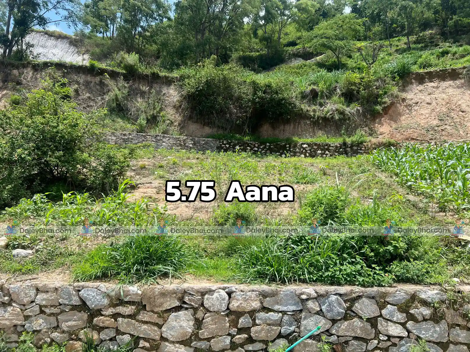 Land