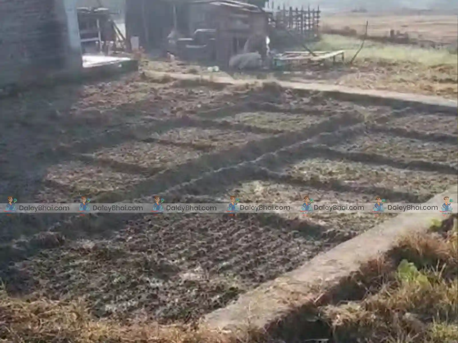 Land