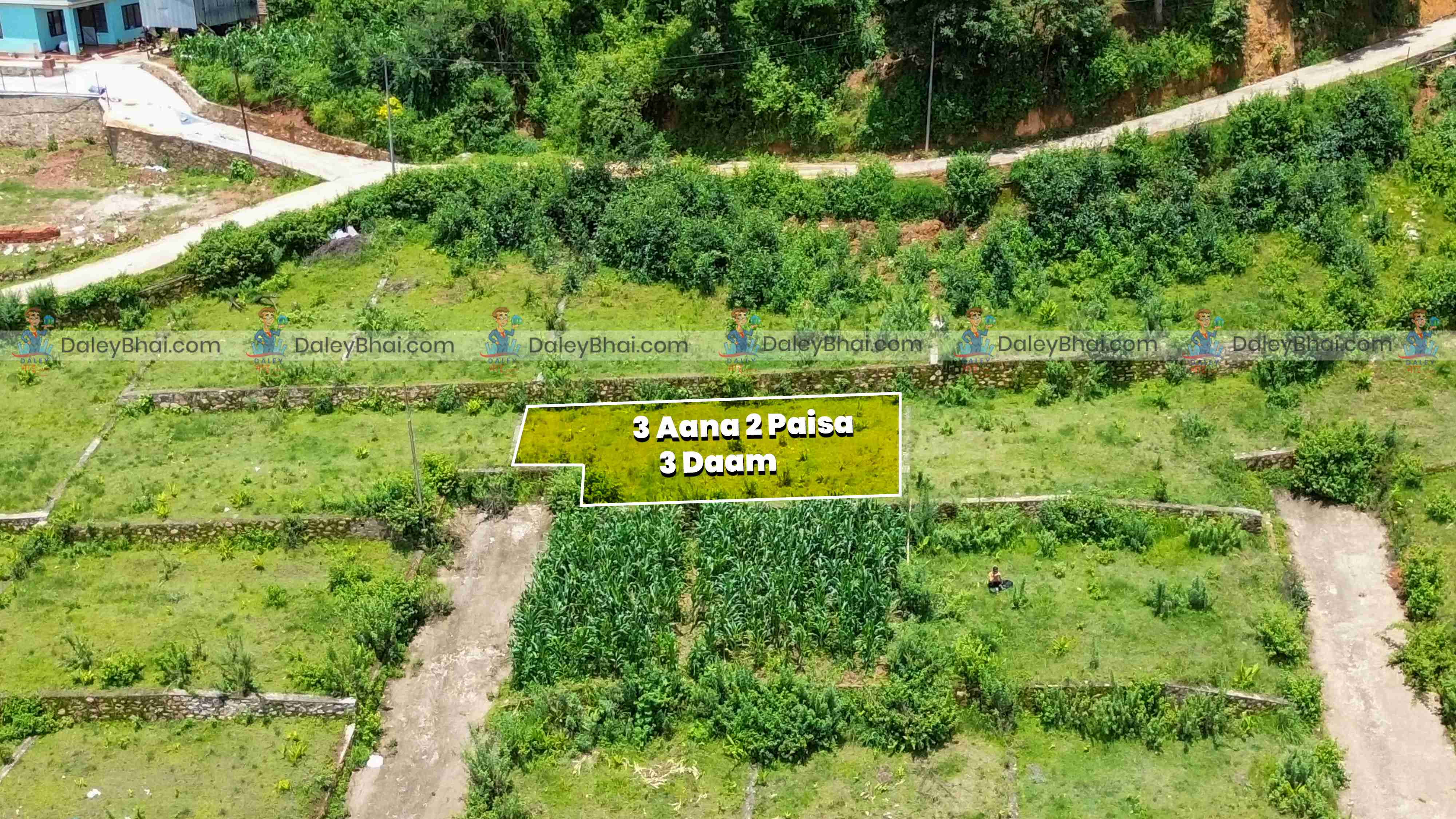 Land