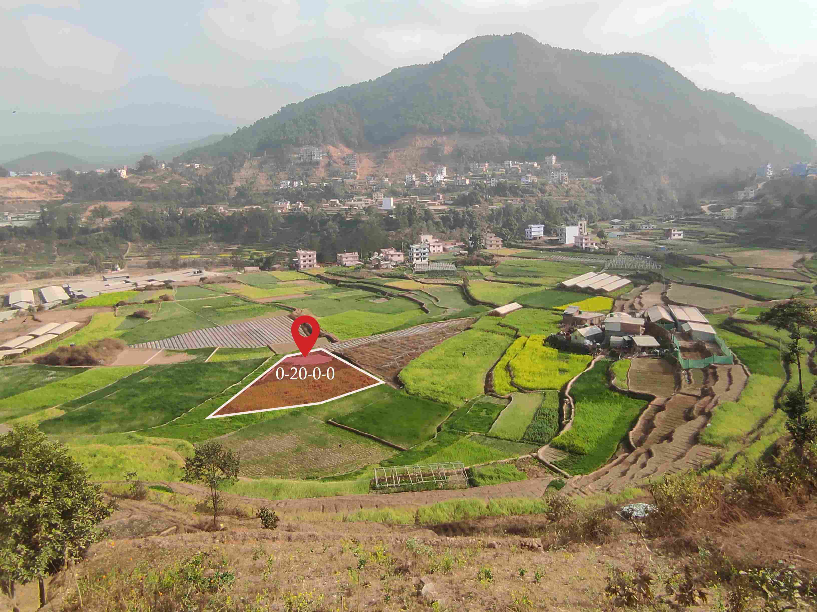 Land