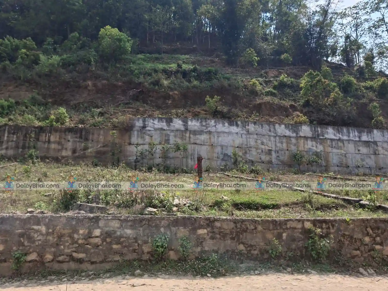 Land