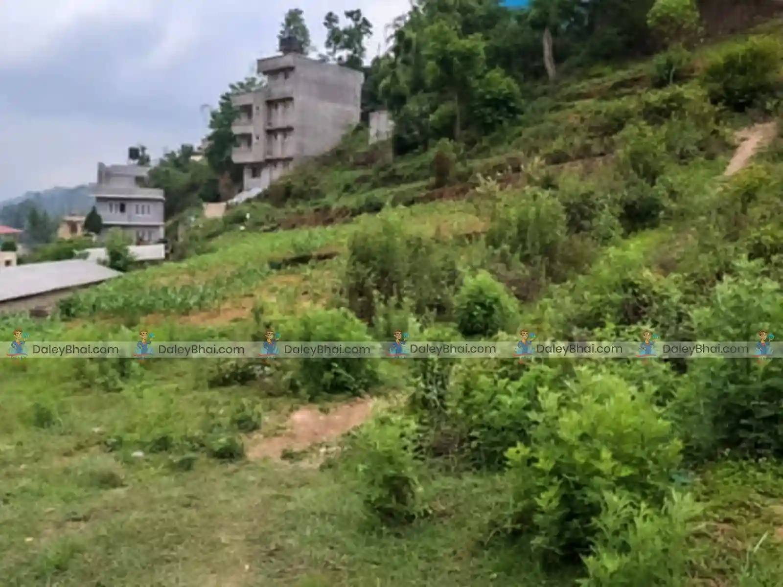 Land