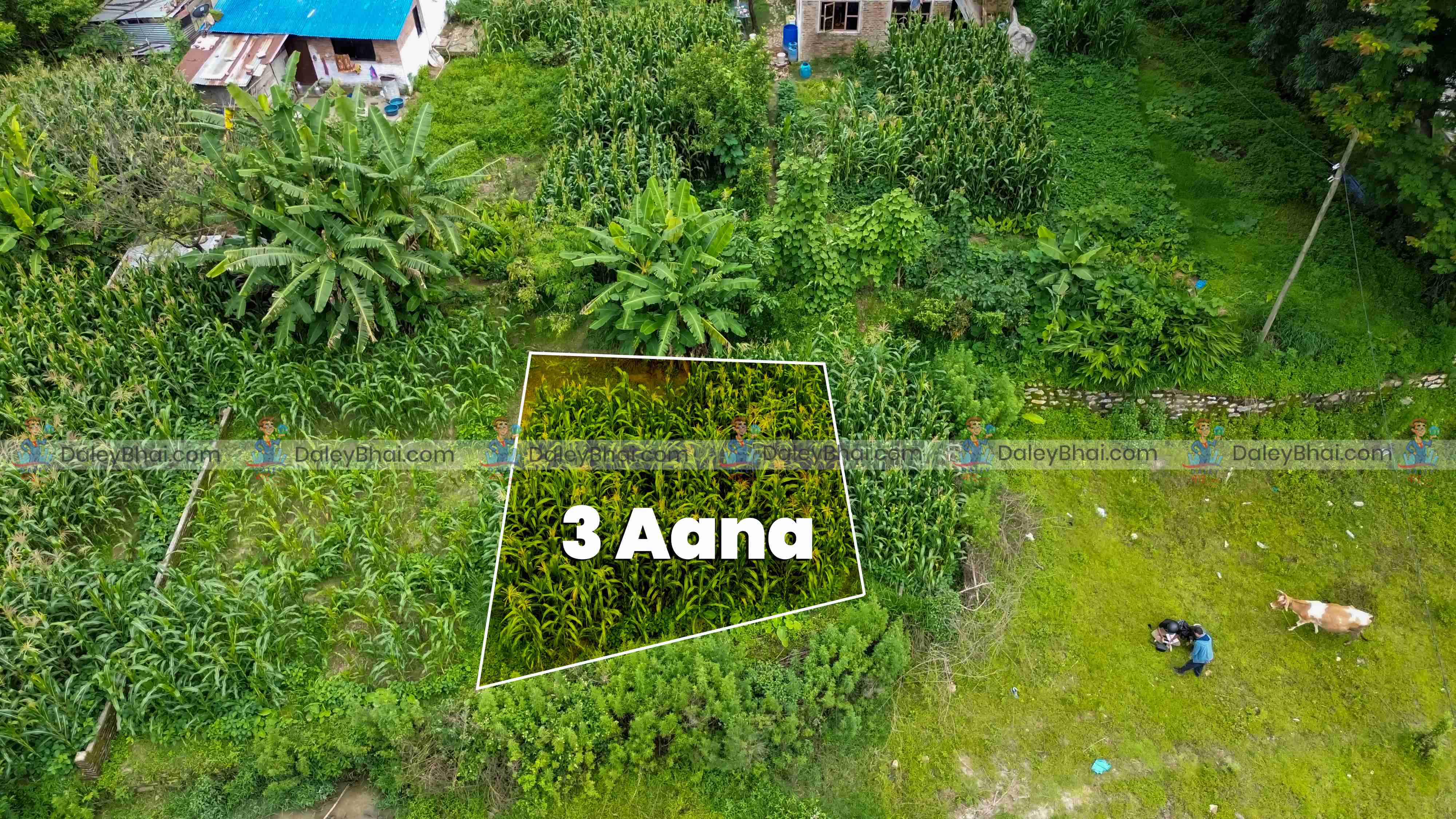 Land