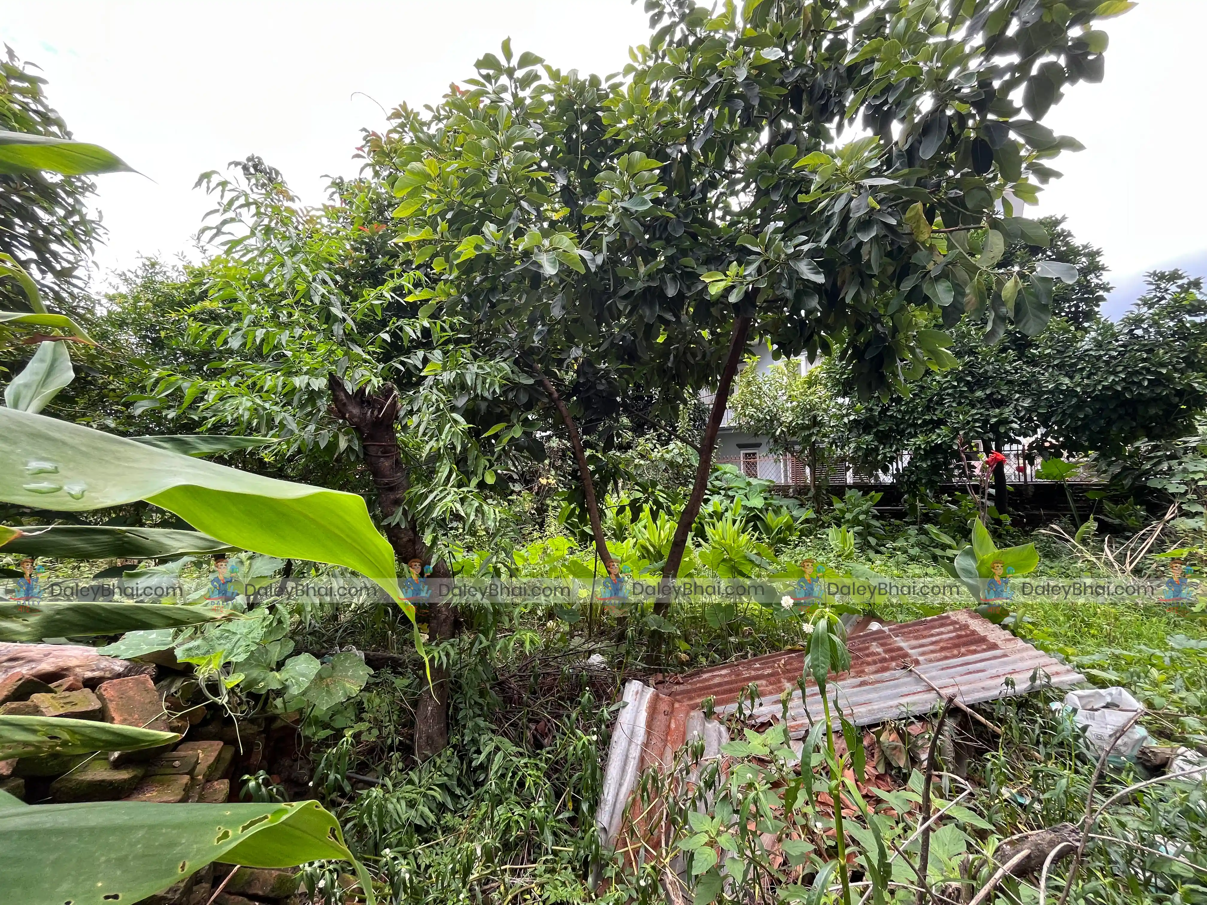 Land for sale in Sanepa, Lalitpur | Daleybhai