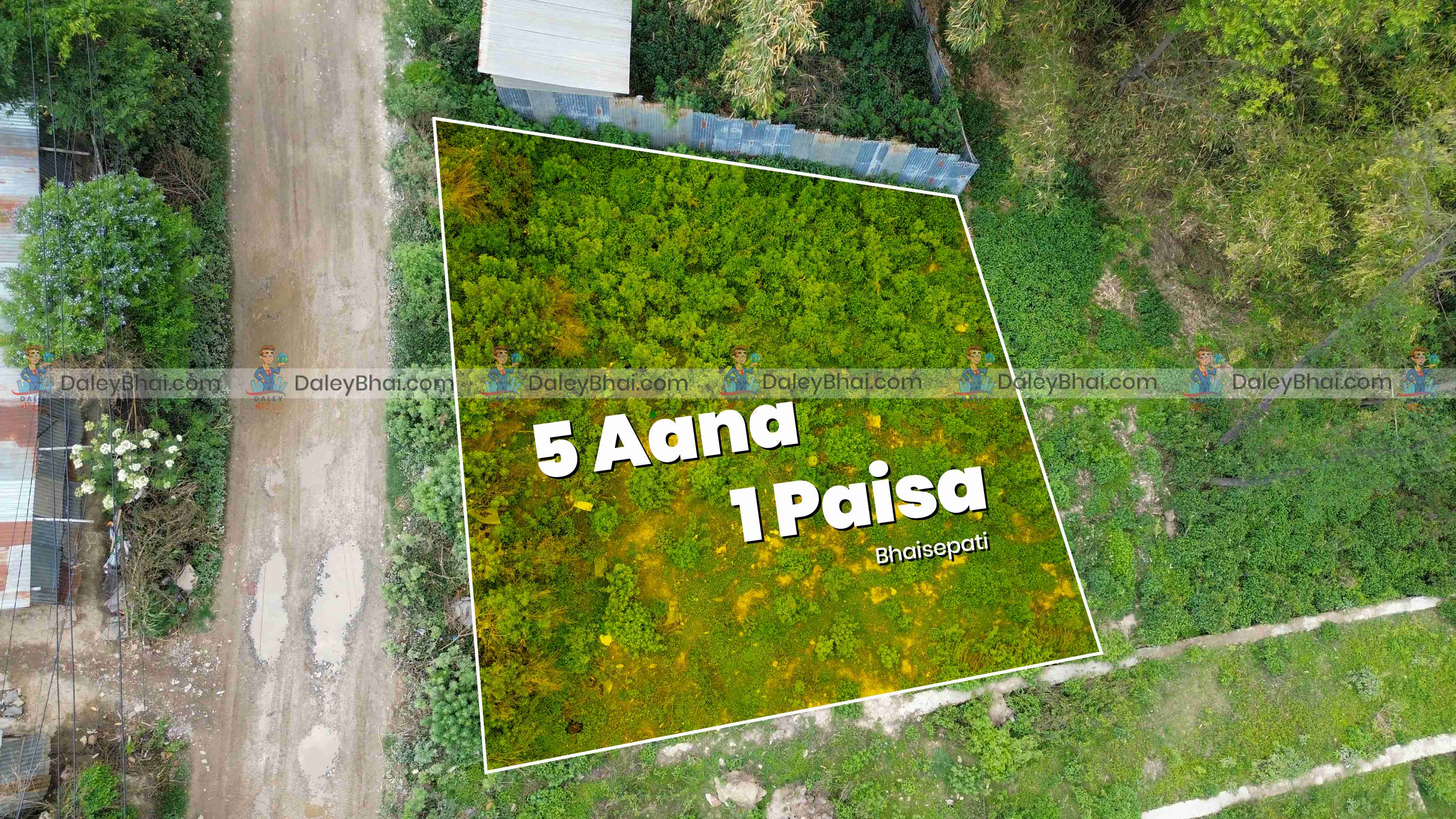 Land
