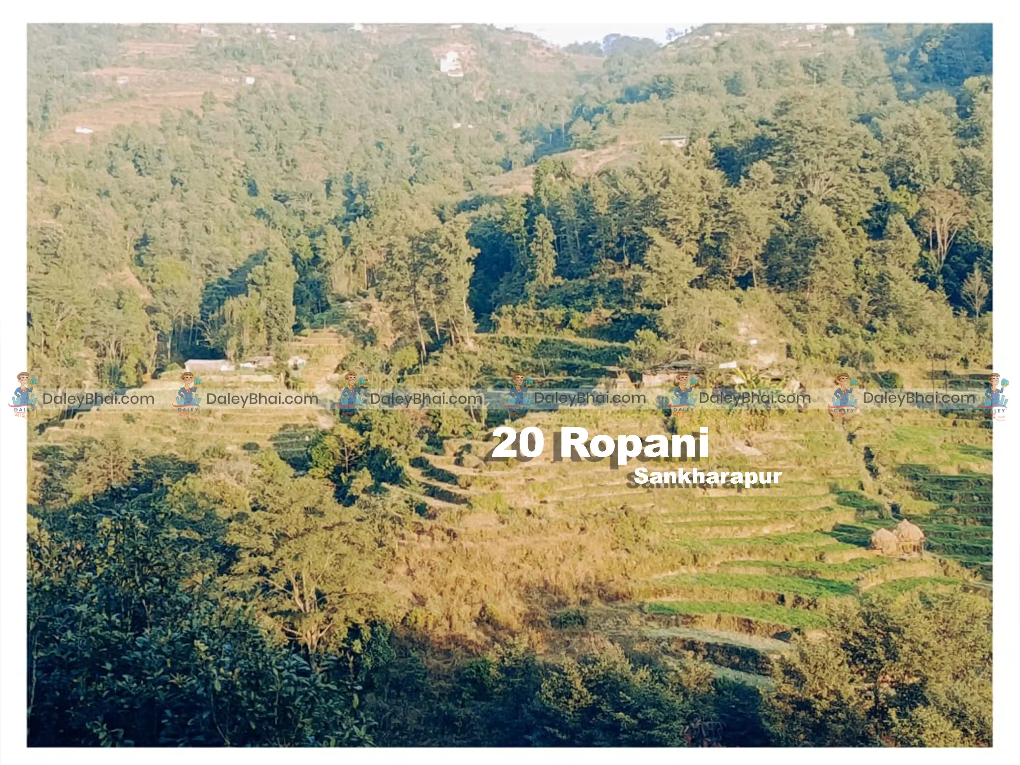 Land