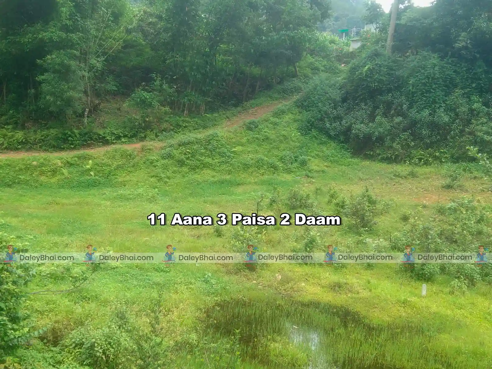 Land