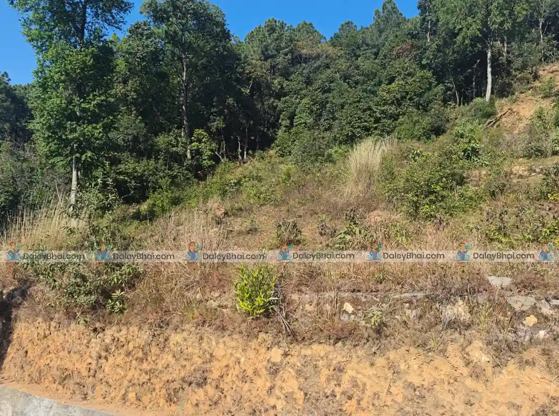 Land