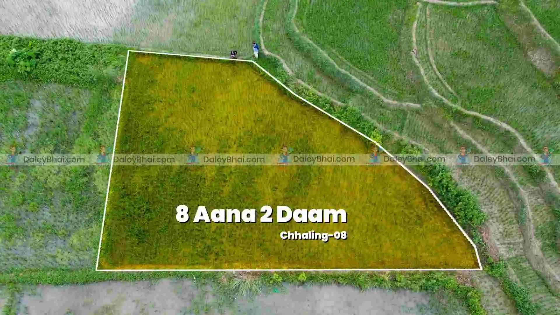 Land