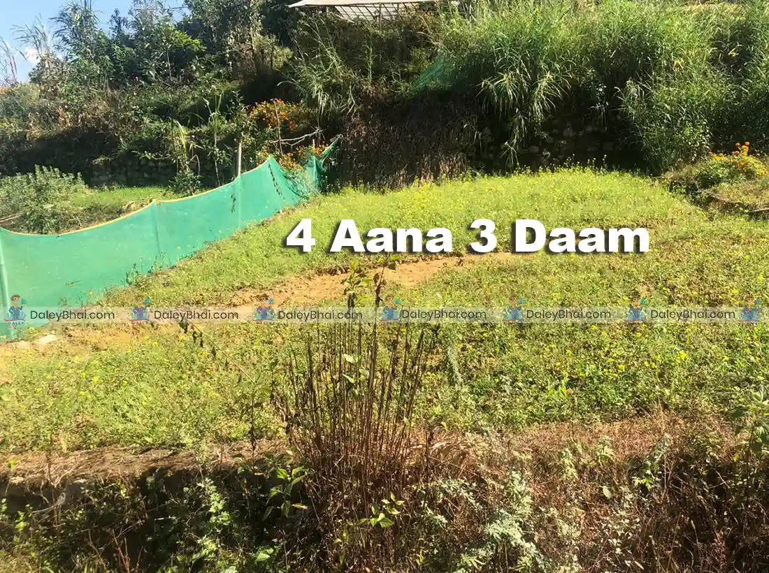Land